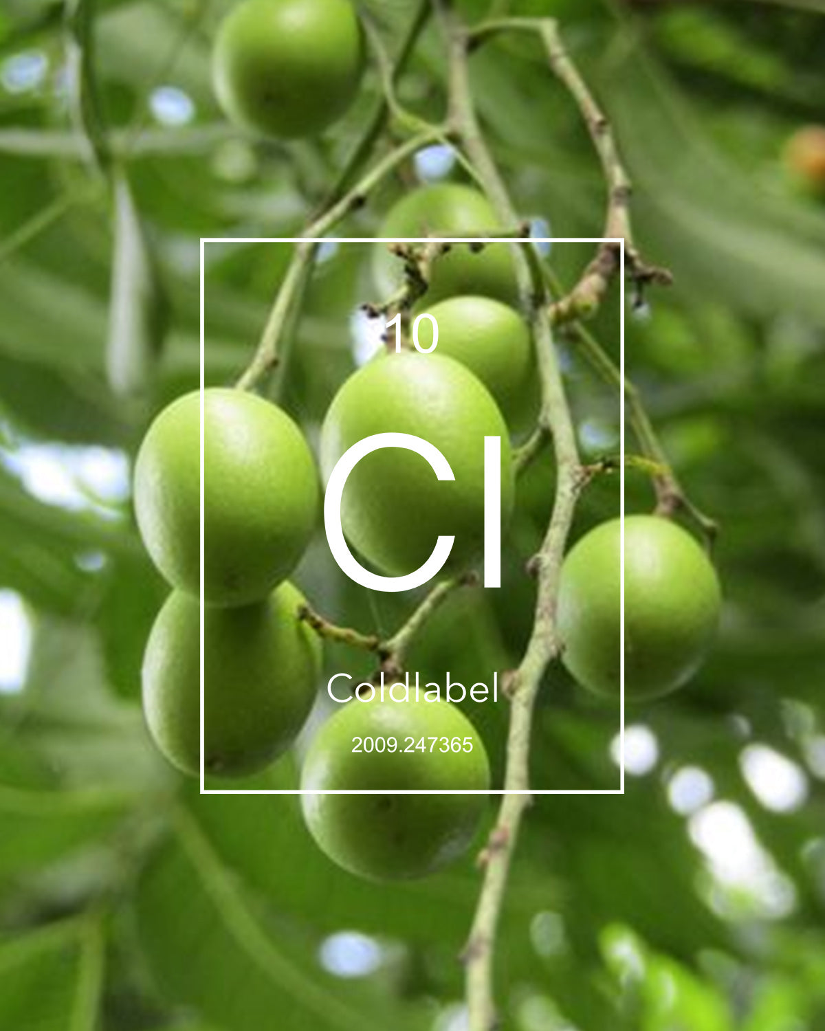 Candida Scalp Overgrowth: Natural Treatment Guide