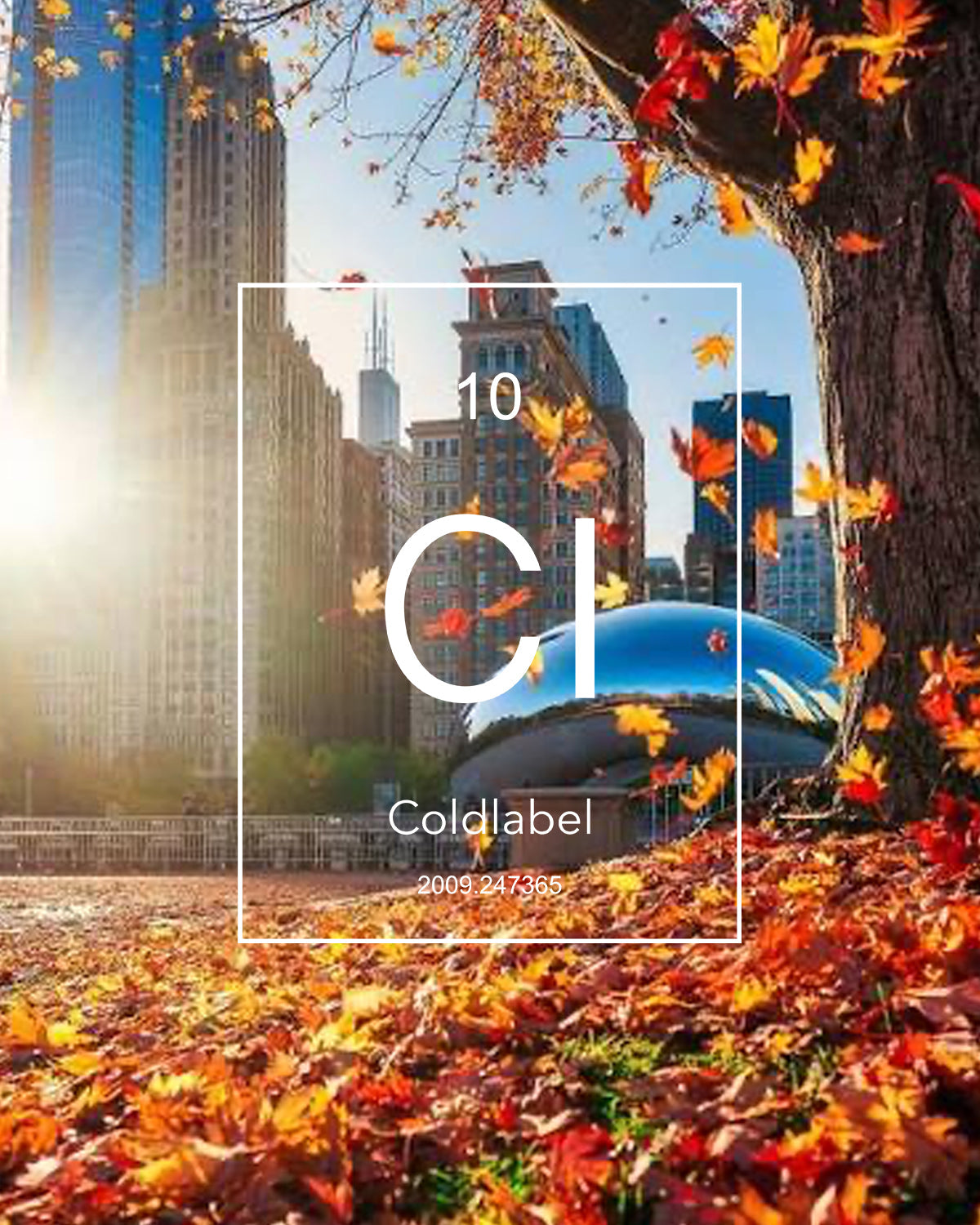 autumn chicago downtown