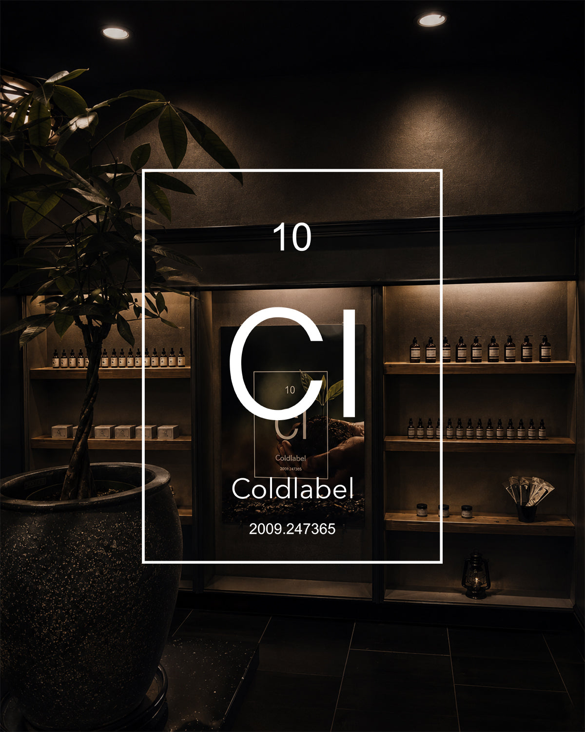 Coldlabel Studio: Natural Grooming for Healthy Hair